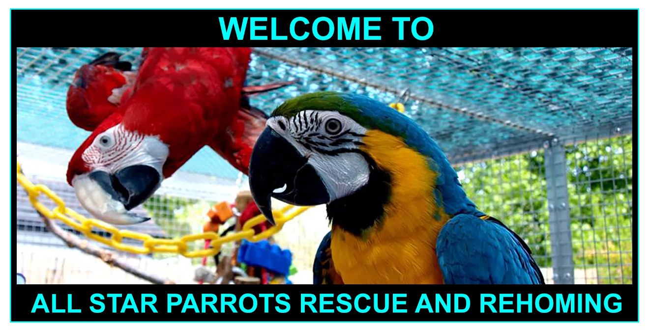 Screenshot 2025-03-21 191117